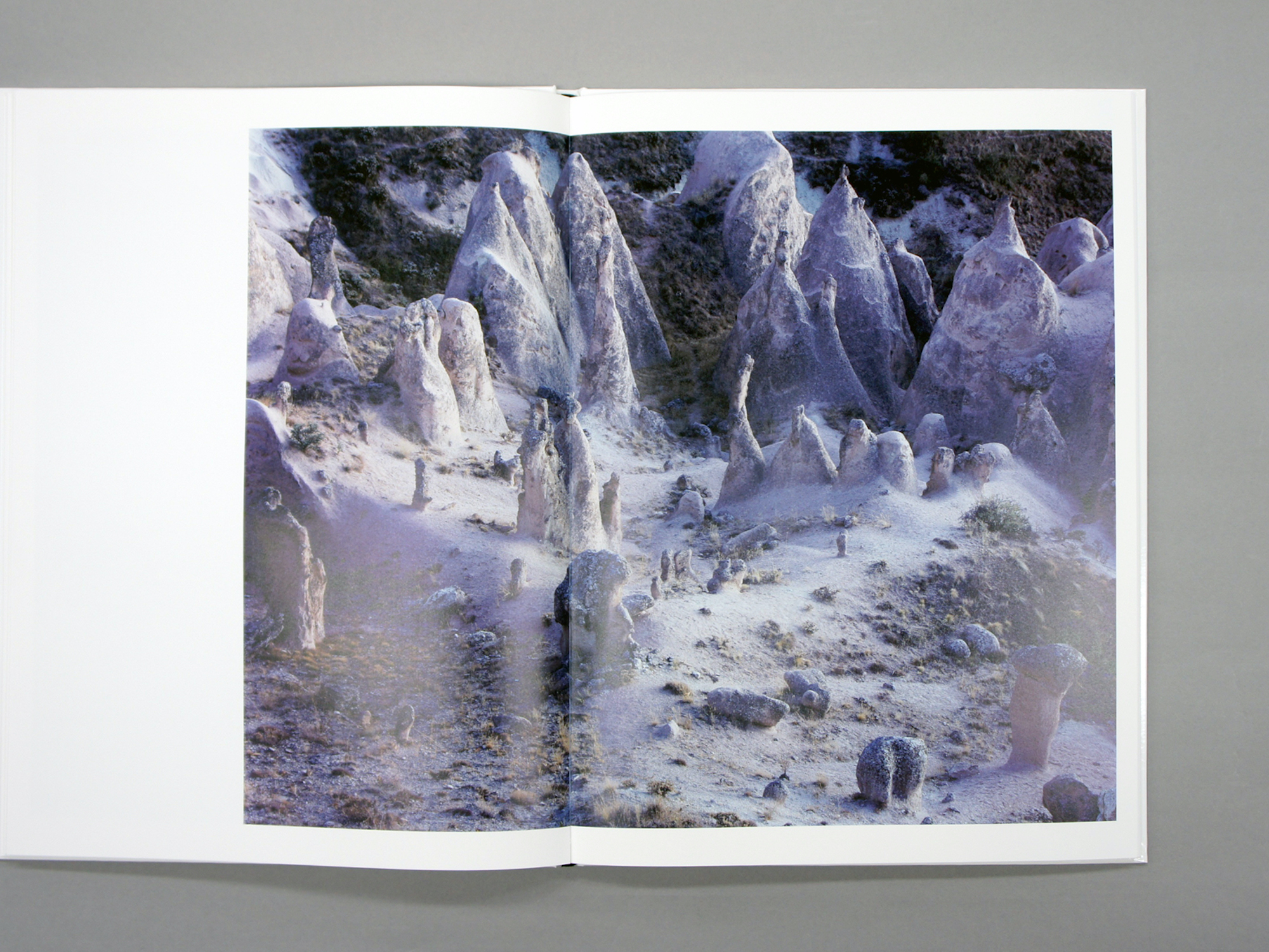 Land Space | 青幻舎 SEIGENSHA Art Publishing, Inc.