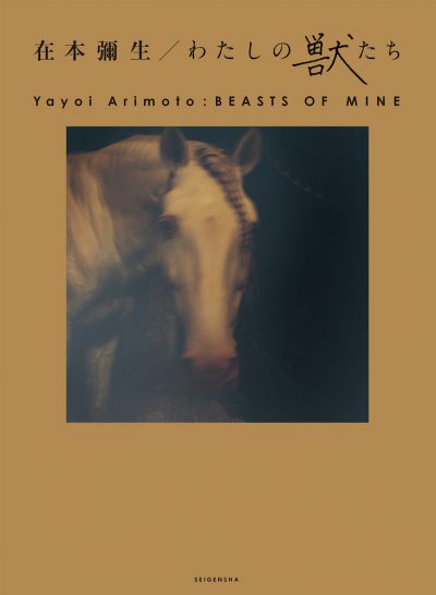 BEASTS OF MINE / Yayoi Arimoto