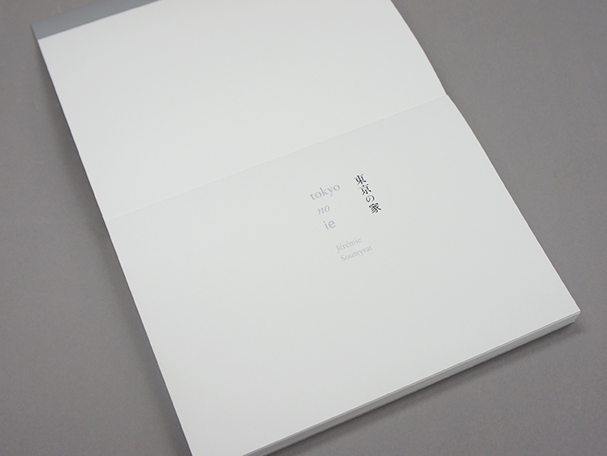 tokyo no ie | 青幻舎 SEIGENSHA Art Publishing, Inc.