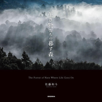 The Forest of Nara Where Life Goes On