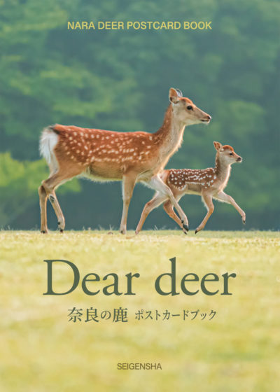 Dear Deer: Nara Deer Postcard Book